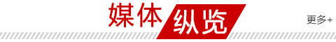 媒体纵览